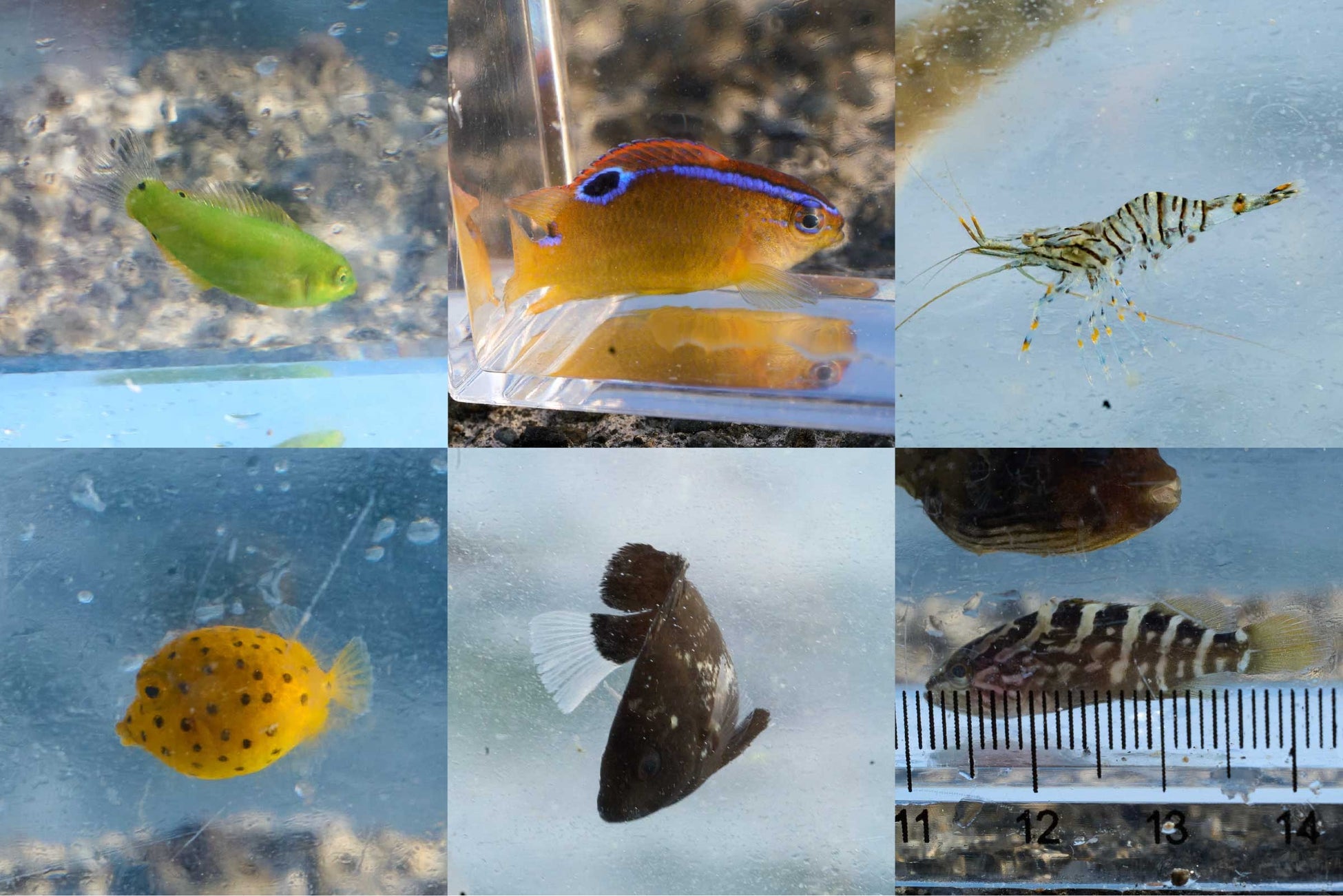 普段は入れない場所、だから生き物もいっぱい